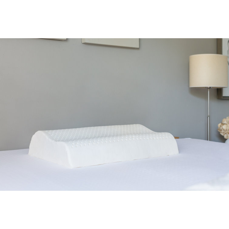 PureTreeⓇ Natural Contour Dunlop Latex Medium Support Pillow Wayfair